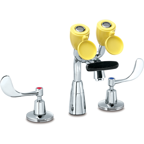 Faucet & Eyewash Station, Sink Mount Installation Pathway Supply LP