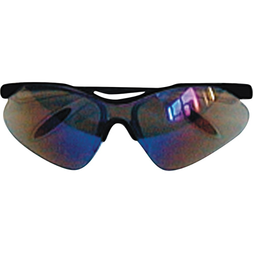 Lunettes de s&eacute;curit&eacute; JS410, Lentille Transparent, Antibu&eacute;e/Anti-&eacute;gratignures, R&eacute;pond ou surpasse la norme CSA Z94.3 Pathway Supply LP