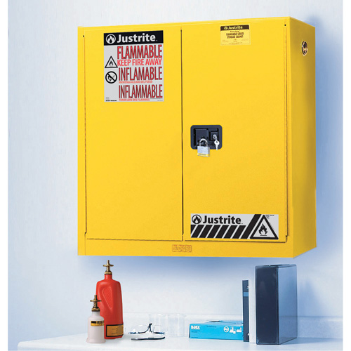 Wall Mount Sure-Grip&reg; Ex Safety Cabinets, 20 gal., 2 Door, 43" W x 44" H x 12" D Pathway Supply LP