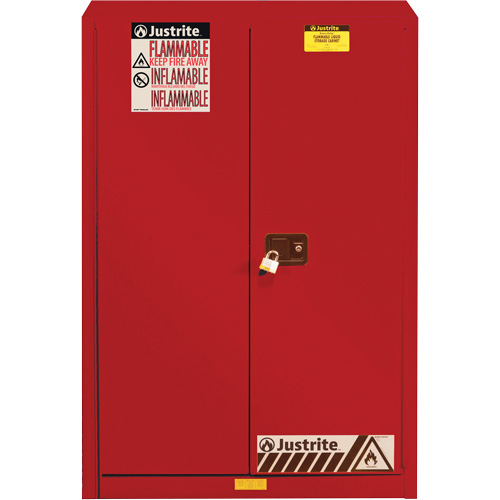 Sure-Grip&reg; EX Combustibles Safety Cabinet for Paint and Ink, 60 gal., 5 Shelves Pathway Supply LP