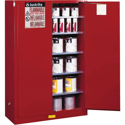 Sure-Grip&reg; EX Combustibles Safety Cabinet for Paint and Ink, 60 gal., 5 Shelves Pathway Supply LP