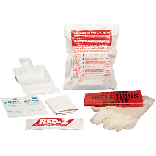 Fluid Spill Clean-Up Kit, Hazmat, Bag Pathway Supply LP