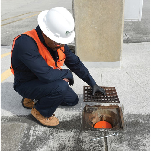 Bouchons pour drain Pathway Supply LP