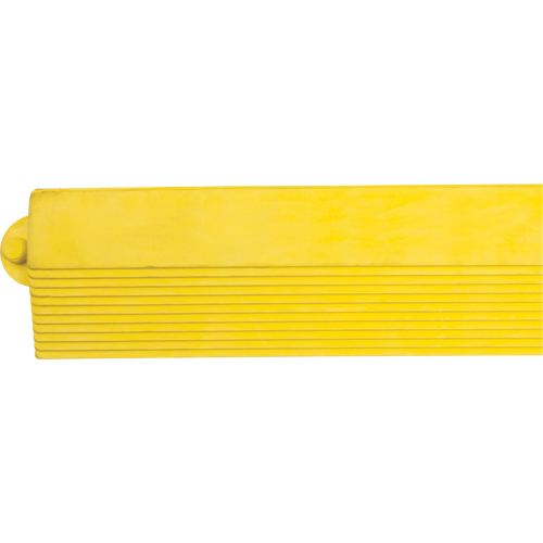 Border Ramp for Matting Pathway Supply LP