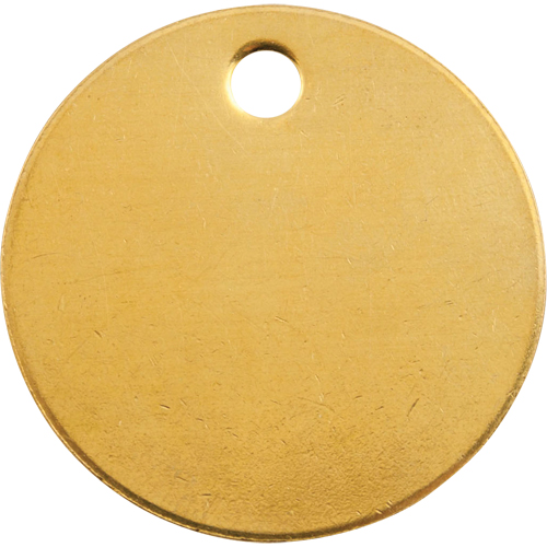 Blank Tags, Brass, 1.375" dia Pathway Supply LP