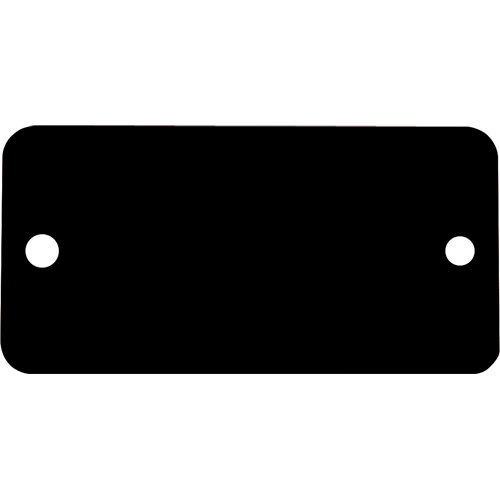 Blank Tags, Aluminum, 3" W x 1" H Pathway Supply LP