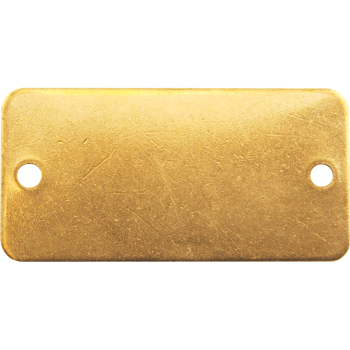 Blank Tags, Brass, 2" W x 1" H Pathway Supply LP
