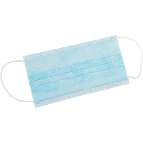 Disposable Face Masks, Non-Medical Pathway Supply LP