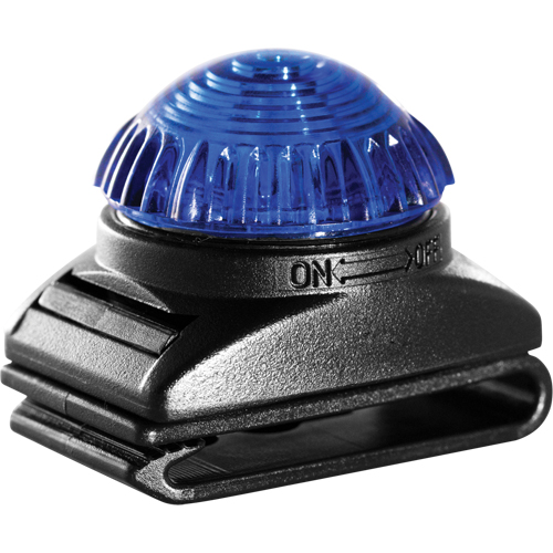 Guardian Warning Light, Continuous/Flashing, Blue Pathway Supply LP
