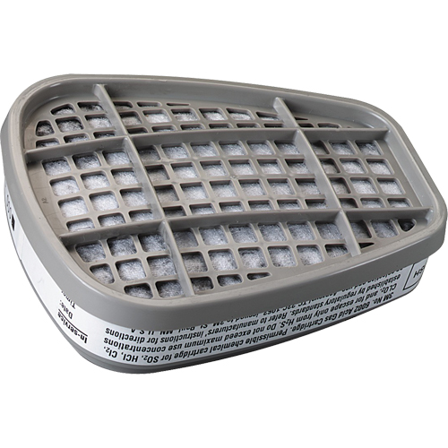 6000 Series Respirator Cartridges, Gas/Vapour Cartridge, Acid Gas Pathway Supply LP