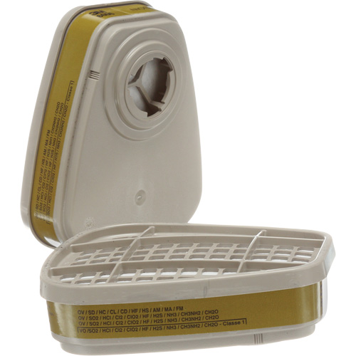 6000 Series Respirator Cartridges, Gas/Vapour Cartridge, Multi-Gas/Vapour Pathway Supply LP