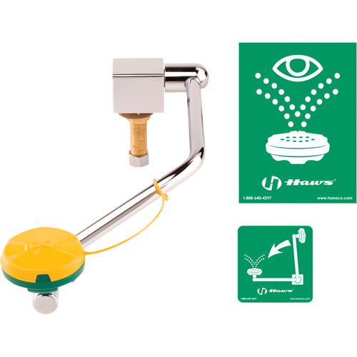 Eye/Face Wash Station, Sink Mount Installation Pathway Supply LP