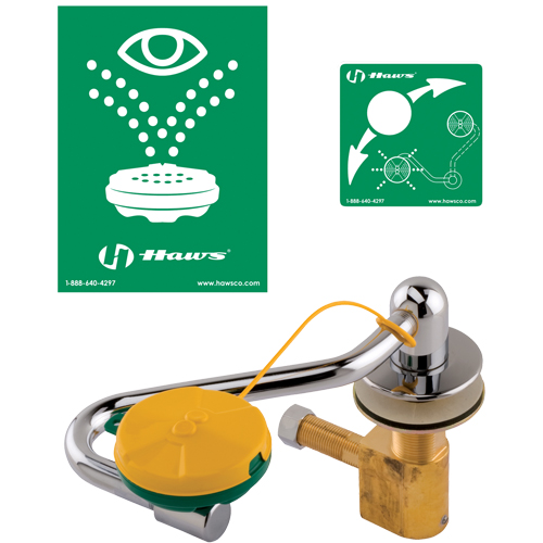 Eye/Face Wash Station, Sink Mount Installation Pathway Supply LP