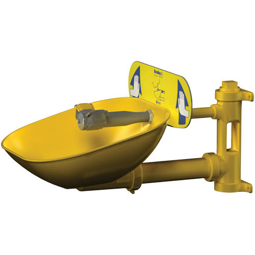 Poste de douche oculaire Halo, Installation Montage mural, Bol Plastique Pathway Supply LP