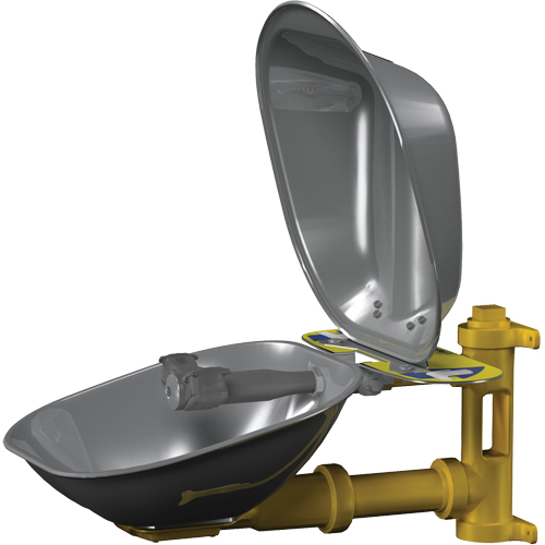 Poste de douche oculaire Halo, Installation Montage mural, Bol Acier inoxydable Pathway Supply LP