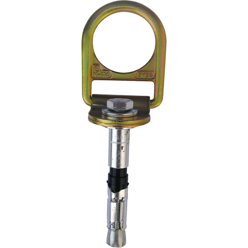 PRO Concrete D-ring Anchor with Bolt, Concrete/D-Ring, Permanent Use Pathway Supply LP