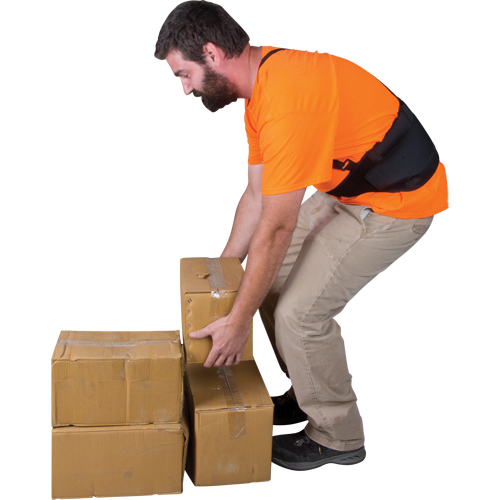 Support lombaire, &eacute;lastique, T-Grand Pathway Supply LP