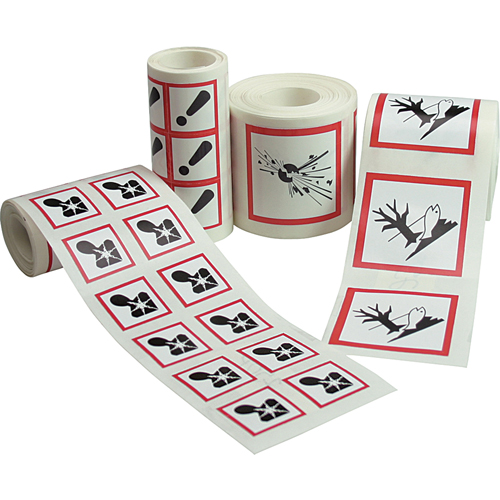 &eacute;tiquettes avec pictogrammes SGH, Papier, Rouleau, 4" lo x 4" la Pathway Supply LP