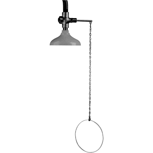 Douche d'urgence suspendue Lifesaver, Montage au plafond Pathway Supply LP