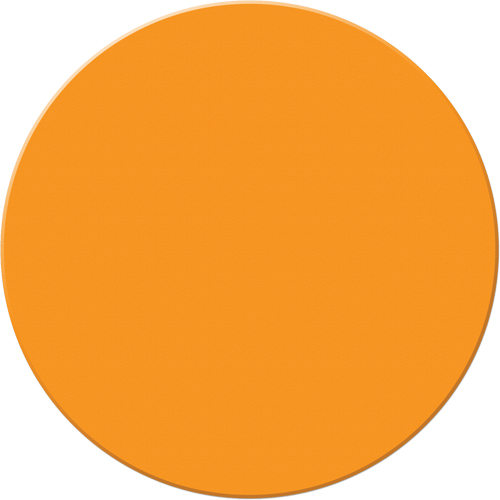 Marqueurs all&eacute;g&eacute;e/5S Armor Stripe, Cercle, 6" lo x 6" la, Orange, Plastique Pathway Supply LP
