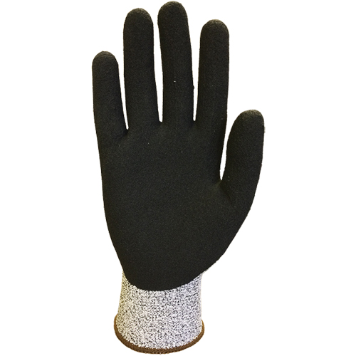 S043 Cut Resistant Gloves, Size X-Large/10, 13 Gauge, Nitrile/Rubber Latex Coated, Nylon Shell, ANSI/ISEA 105 Level 3 Pathway Supply LP