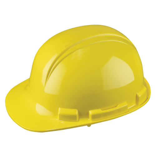 Dynamic Whistler Hardhat, Meets CSA Type 1, Ratchet Suspension, Non-Vented Pathway Supply LP