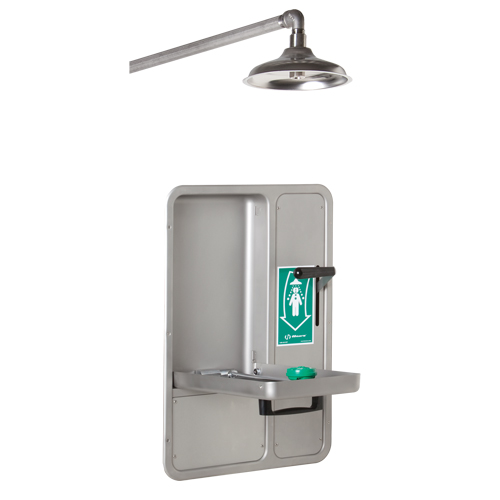 Eye/Face Wash and Shower, Ceiling-Mount Pathway Supply LP