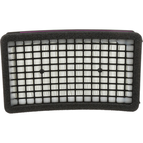 Speedglas HE PAPR Cartridge, P100 Filter, Pack of 1 Pathway Supply LP