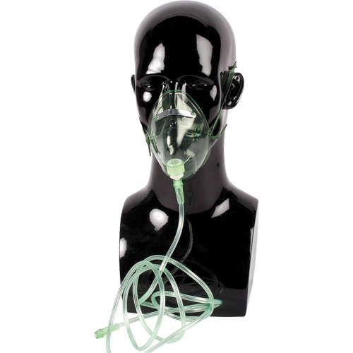 Dynamic Oxygen Mask Pathway Supply LP