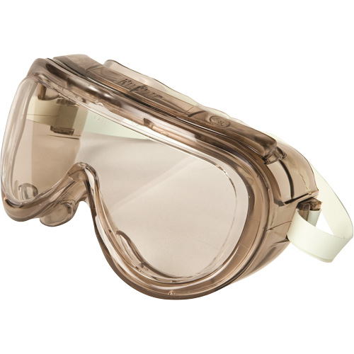 Lunettes &agrave; coques de s&eacute;curit&eacute; s&eacute;rie 160 2-58, Lentille Transparent, Antibu&eacute;e, Ventilation Indirecte Pathway Supply LP