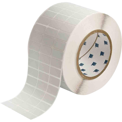 Glossy Rating Plate Labels, Metalized Polyester, 1" L x 0.5" H, Silver Pathway Supply LP