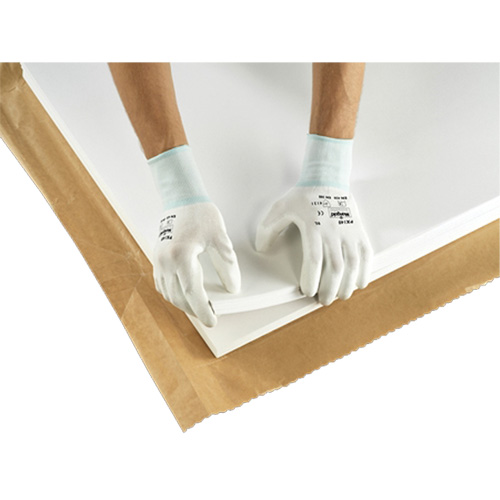 PX140 Coated Gloves, 6/X-Small, Polyurethane Coating, 15 Gauge, Nylon Shell Pathway Supply LP