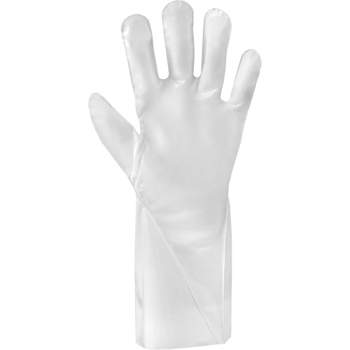 Gants r&eacute;sistants aux produits chimiques ALPHATEC 02-100, Taille 10, 15,0" lo, PEHP, 2,4 mils Pathway Supply LP