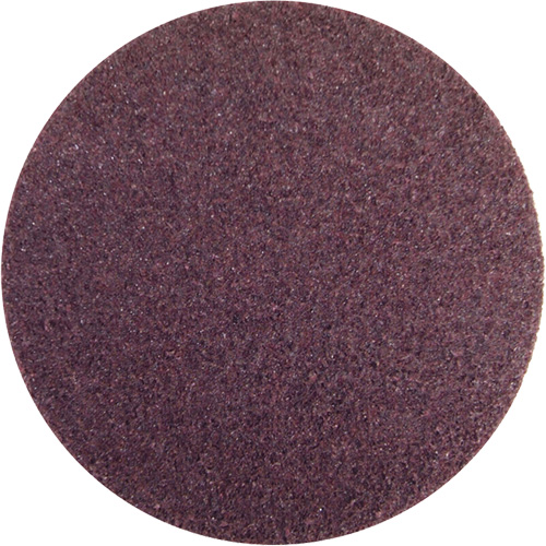 Disque abrasif non tiss&eacute; Rapid Prep, 5" dia., Grain Fin, Oxyde d'aluminium Pathway Supply LP