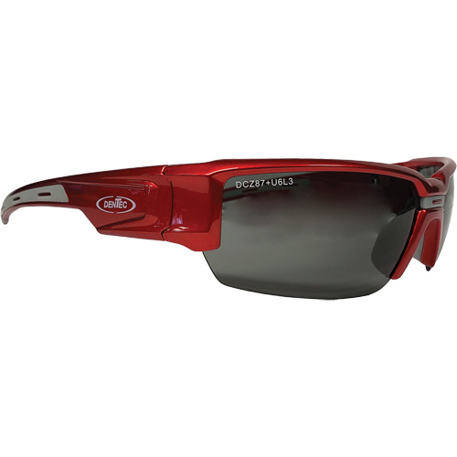 Lunettes de s&eacute;curit&eacute; Hartley, Lentille Gris, Polaris&eacute;, R&eacute;pond ou surpasse la norme CSA Z94.3 Pathway Supply LP