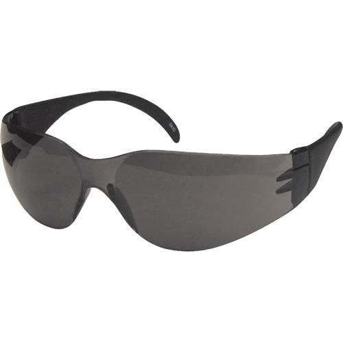 Lunettes de s&eacute;curit&eacute; CeeTec, Lentille Gris, Anti-&eacute;gratignures, R&eacute;pond ou surpasse la norme CSA Z94.3 Pathway Supply LP