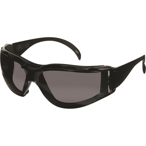 CeeTec DX Safety Glasses, Grey Lens, Anti-Fog/Anti-Scratch, Meets/Exceeds CSA Z94.3 Pathway Supply LP