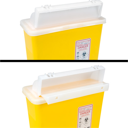 Sharps Container, 4.6L Capacity Pathway Supply LP