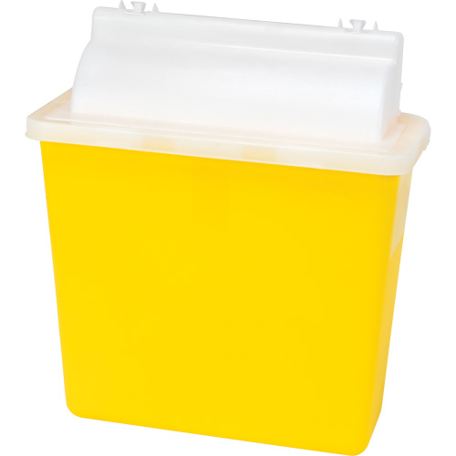 Sharps Container, 4.6L Capacity Pathway Supply LP