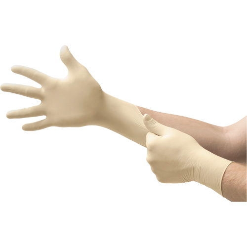 Diamond Grip Examination Gloves, Large, Latex, 8-mil, Powder-Free, Natural, Class 2 Pathway Supply LP