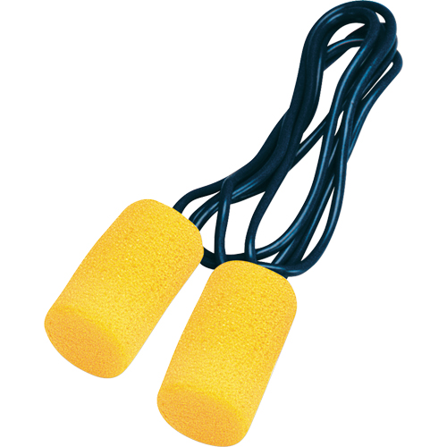 Bouchons d'oreilles classiques E-A-R, Vrac - Sac en poly, Grand, Avec cordon Pathway Supply LP