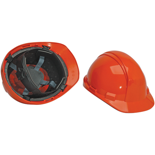 Casque de s&eacute;curit&eacute; North Matterhorn, R&eacute;pond aux normes CSA type 2, Suspension Rochet, Non ventil&eacute; Pathway Supply LP