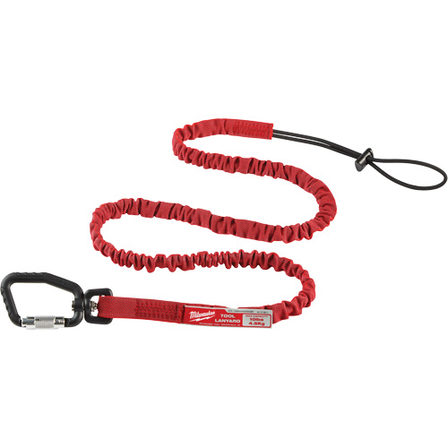 Extended Reach Locking Tool Lanyard, Bungee, Carabiner/Loop Pathway Supply LP