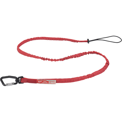 Extended Reach Locking Tool Lanyard, Bungee, Carabiner/Loop Pathway Supply LP