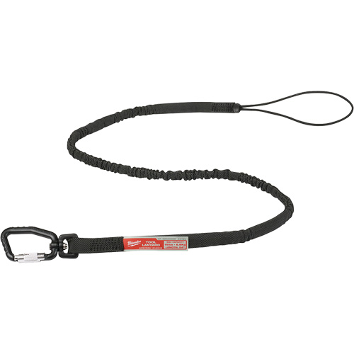 Extended Reach Locking Tool Lanyard, Bungee, Carabiner/Loop Pathway Supply LP