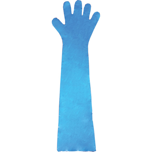 Gants jetables en latex, Gants jetables, Gants jetables en vinyle, Poly&eacute;thyl&egrave;ne, Sans poudre, Bleu Pathway Supply LP