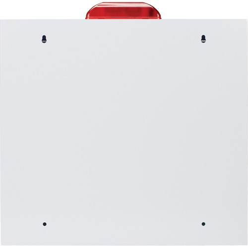 Grande armoire standard pour DEA avec alarme & stroboscope, Zoll AED Plus/Zoll AED 3/Cardio-Science/Physio-Control Pour, Non m&eacute;dical Pathway Supply LP