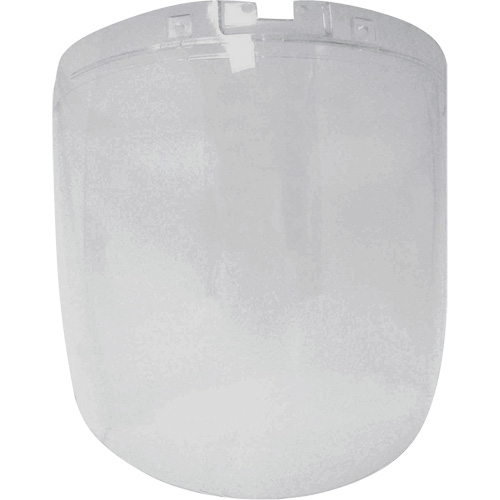 &eacute;cran antibrouillard de remplacement de la s&eacute;rie DP4, Polycarbonate, Teinte Transparent Pathway Supply LP