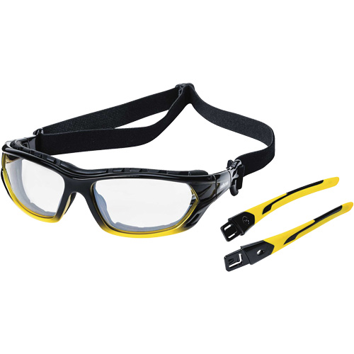 XPS530 Sealed Safety Glasses, Indoor/Outdoor Lens, Anti-Scratch, ANSI Z87+/Meets/Exceeds CSA Z94.3 Pathway Supply LP