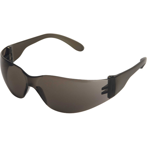 X300 Lunettes de s&eacute;curit&eacute;, Lentille Fum&eacute;e, Anti-&eacute;gratignures, ANSI Z87+/R&eacute;pond ou surpasse la norme CSA Z94.3 Pathway Supply LP